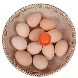 万力睿 散养土鸡蛋 20枚 均重40g