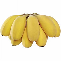 城南堡花 广西小米蕉 现摘小香蕉 苹果蕉新鲜水果 苹果蕉9斤装