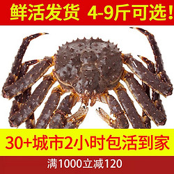 喵和渔 鲜活帝王蟹 俄罗斯进口大螃蟹海鲜阿拉斯加帝王蟹 3.1-3.5斤/一只 （鲜活发货）