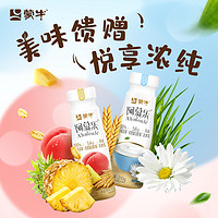 MENGNIU 蒙牛 阿慕乐酸奶210g*20瓶