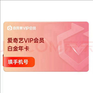 白金VIP会员年卡 12个月