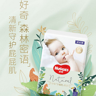 HUGGIES 好奇 森林密语纸尿裤拉拉裤薄款透气干爽多规格可选