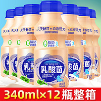 食在过瘾新日期乳酸菌饮品整箱瓶早餐益生菌酸奶牛奶益生元饮料 乳酸菌原味