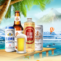 双合盛 北京双合盛五星经典啤酒可搭精酿原浆黄啤非白啤喝1L装