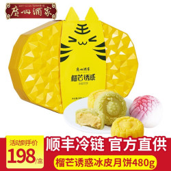 广州酒家 冰皮月饼 榴芒诱惑口味 480g 盒装