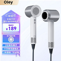 OLEY 柏莱 负离子高速吹风机