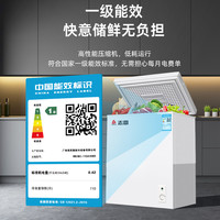 志高小冰柜家用全冷冻小型保鲜冷藏两用迷你省电冷柜