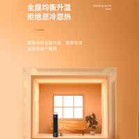 CHANGHONG 长虹 石墨烯取暖器暖风机家用节能省电小太阳小型电暖气电暖器