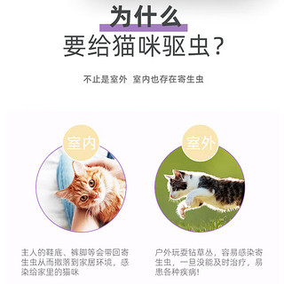 mofei 猫用体外同驱虫非泼罗尼滴剂0.5ml*3支 宠物成幼猫咪驱除虫耳螨疥螨虱子跳蚤蛔虫钩虫蜱虫寄生虫打虫药