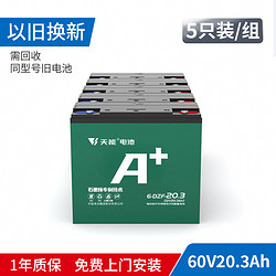 TIANNENG BATTERY 天能电池 60V20AH 电池 6-DZF-20（5只装）豪华型两轮电动车电池电瓶车电瓶上门安装