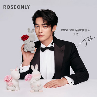 ROSEONLY 诺誓 甜心玫瑰兔永生花