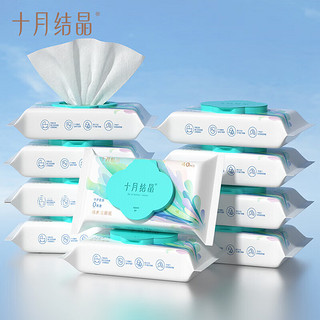 十月结晶 婴童适用湿厕纸40抽*10包 孕婴可用清洁湿纸巾厕纸湿巾
