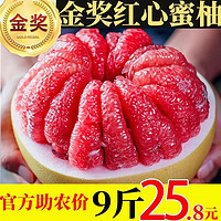 枝头春 红心蜜柚 中秋礼盒  8-9斤精选装 2-4个
