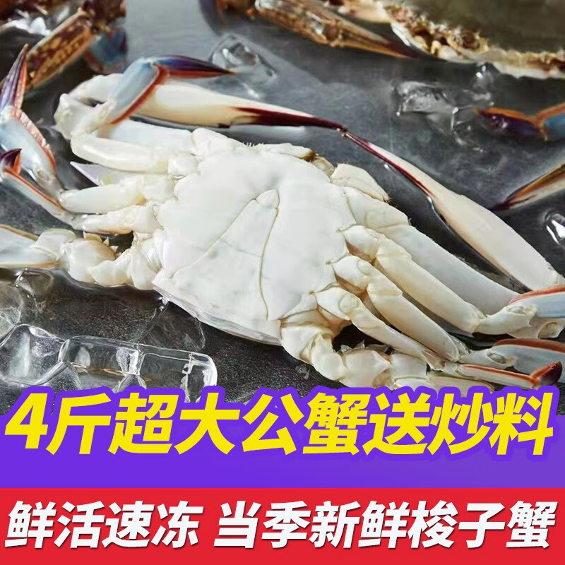 鮨京梭子蟹新鲜大螃蟹活冻飞蟹肉母蟹 生鲜 海鲜水产 梭子蟹4斤(约6~11只)