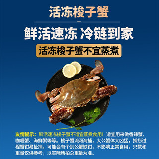 鮨京梭子蟹新鲜大螃蟹活冻飞蟹肉母蟹 生鲜 海鲜水产 梭子蟹4斤(约6~11只)