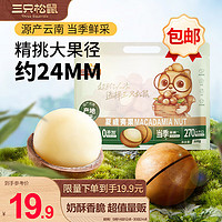 三只松鼠 夏威夷果500g/袋 坚果炒货量贩干果休闲零食送礼约24mm一斤装混发