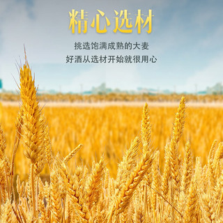 莎堡皇（FAST.KING）洋酒威士忌套装组合700ml可乐桶调酒基酒烈酒洋酒 主位威士忌+金冠xo