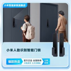 MI 小米 Xiaomi/小米人脸识别智能门锁
