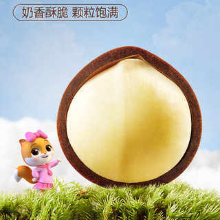 零食干果特大颗粒夏威夷果开心果腰果