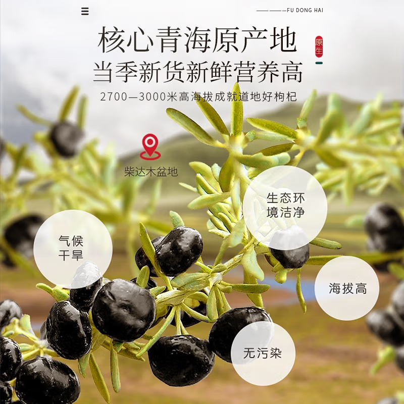 福东海黑枸杞非特级青海大果枸杞干搭桑椹玫瑰茶泡水礼盒