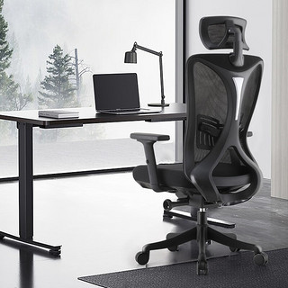 菲迪-至成人体工学椅电脑椅子 F180-01-黑（海绵座垫）
