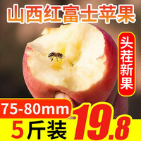 壹农壹果 山西  红富士苹果 净重4.5斤  75-80mm