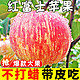 果尚语 红富士苹果 4.5-5斤