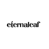 eternaleaf/泊律诗