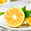 京鲜惠 湖北秭归夏橙5斤含箱  单果150-170g 新鲜水果酸甜橙子榨汁生鲜