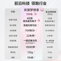 RUAFEE岚斐高速电吹风机筒家用负离子护发不伤发速干大风力大功率