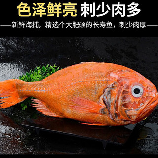 渔哥戏鱼 海捕长寿鱼2.5-2.2斤 一条装 深海鱼富贵鱼长寿鱼冷冻橙鲷鱼海鲜 3.2-2.6斤*1条