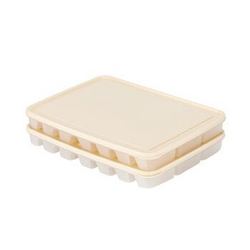 LOCK&LOCK 乐扣乐扣 冷冻饺子盒套装塑料保鲜盒冰箱冷藏馄饨21分格*2收纳盒HFL8511S2I