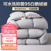 博洋95%鹅绒被羽绒被抑菌保暖被子被芯冬季防羽面料加大双人被褥 95白鹅绒冬被—曛暖灰色 150*210cm