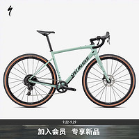 SPECIALIZED闪电 DIVERGE SPORT CARBON碳纤维车架骑行公路自行车 鼠尾草绿/橡木绿/黑色 49