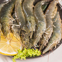 喵和渔 鲜活大虾 海白虾 活虾鲜活发货海捕虾类 海鲜水产 活白虾（1斤 20-25只左右）