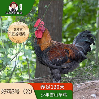 散养 走山地鸡整只生鲜鸡 1.25-1.45kg