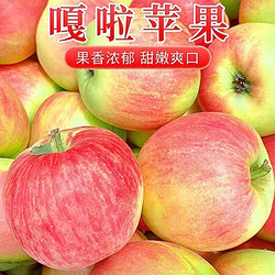 莫小仙 陕西嘎啦苹果脆甜净重8.5-9斤 大果70mm+