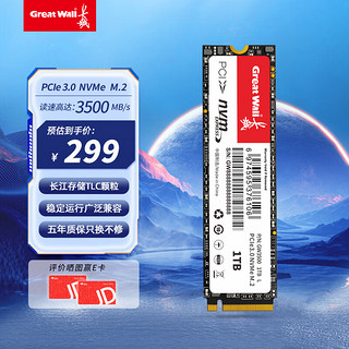 Great Wall 长城 1TB SSD固态硬盘 M.2接口(NVMe协议)PCIe 3.0x4 GW3500系列 读速可高达3500MB/s