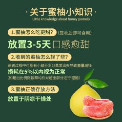 臻碧鄉 臻碧乡 梅州大埔红心蜜柚 红肉柚子 中秋水果送礼 梅州客家特产地标 2个家庭装（单果1.7-2.3斤）