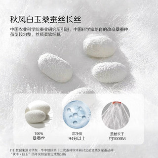 水星家纺蚕丝被子被芯60S长绒棉桑蚕丝春秋被冬被二合一被 桑蚕丝冬被 220cm×240cm