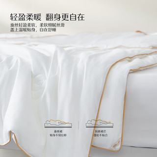 水星家纺蚕丝被子被芯60S长绒棉桑蚕丝春秋被冬被二合一被 桑蚕丝冬被 220cm×240cm