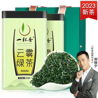 一杯香 2019新茶云雾绿茶春茶上市2罐共500克一杯香茶叶明前绿茶散装春茶礼盒日照茶茗茶浓香