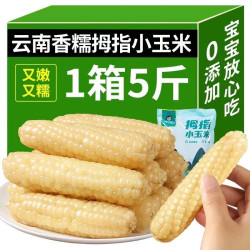 西双版纳 香糯 拇指小玉米 净重5斤