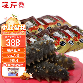 晓芹 大连冷冻即食海参 500g  辽刺参  海鲜水产 11-14头/500g