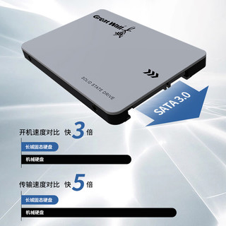  Great Wall/长城 读速540MB/S SSD固态硬盘  512GB