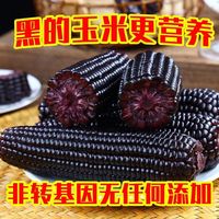 XINXIANLE 欣鲜乐 玉米新鲜糯玉米