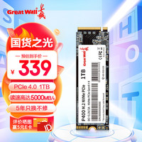 长城 P400 5000MB/s NVMe固态硬盘 1TB M.2接口