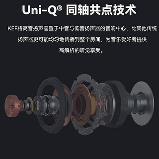 KEF LS50 Meta HiFi无源书架音箱发烧音响 客厅家庭影院2.0声道高保真桌面音箱  钛金灰色