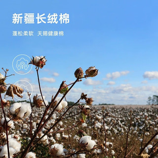 SANLI 三利 洗脸毛巾纯棉家用吸水速干男全棉女柔软加厚成人洗澡不易掉毛 粉色+蓝色