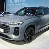 奥迪Q6  24款 45 TFSI quattro 黑武士6座